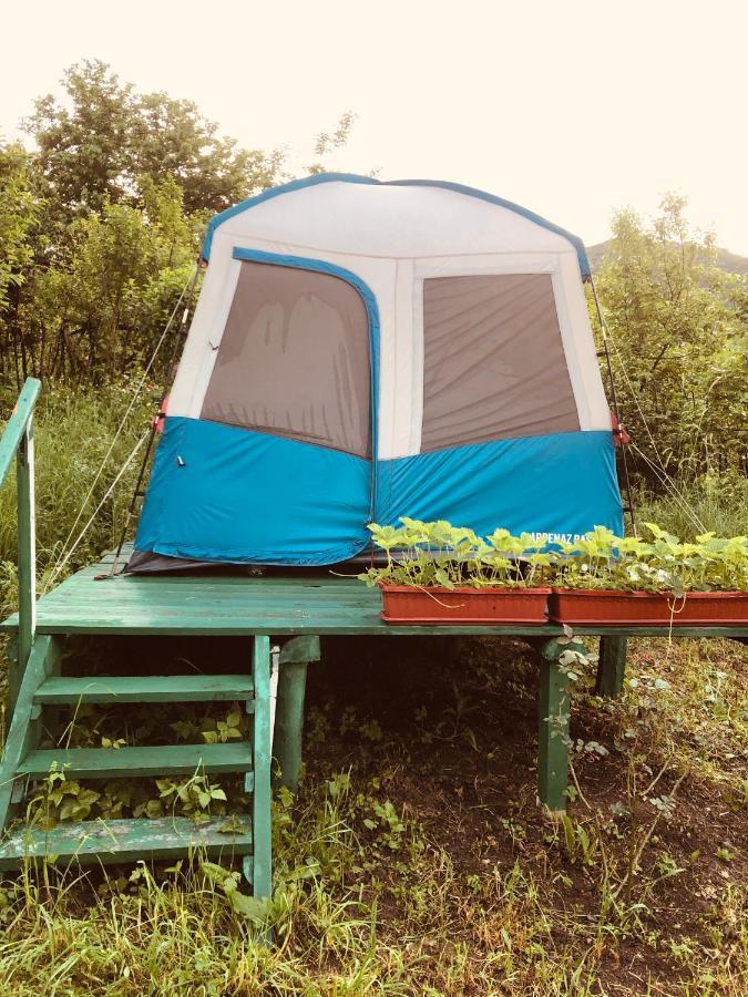 Hotel Tereza Glamping Sanain Exteriér fotografie