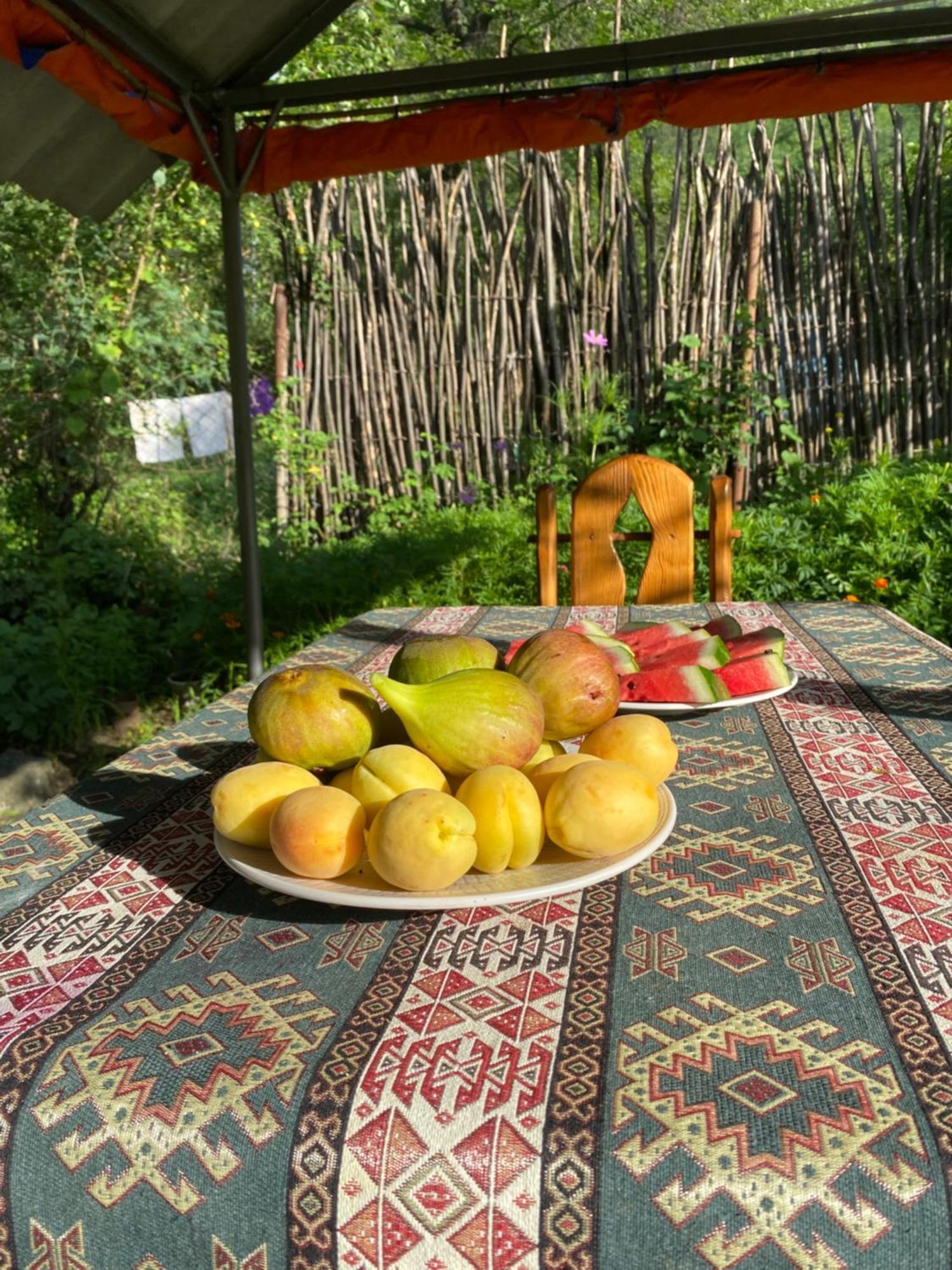 Hotel Tereza Glamping Sanain Exteriér fotografie