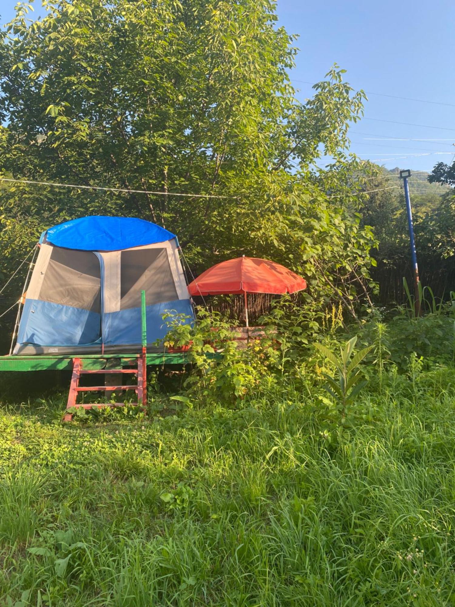 Hotel Tereza Glamping Sanain Exteriér fotografie