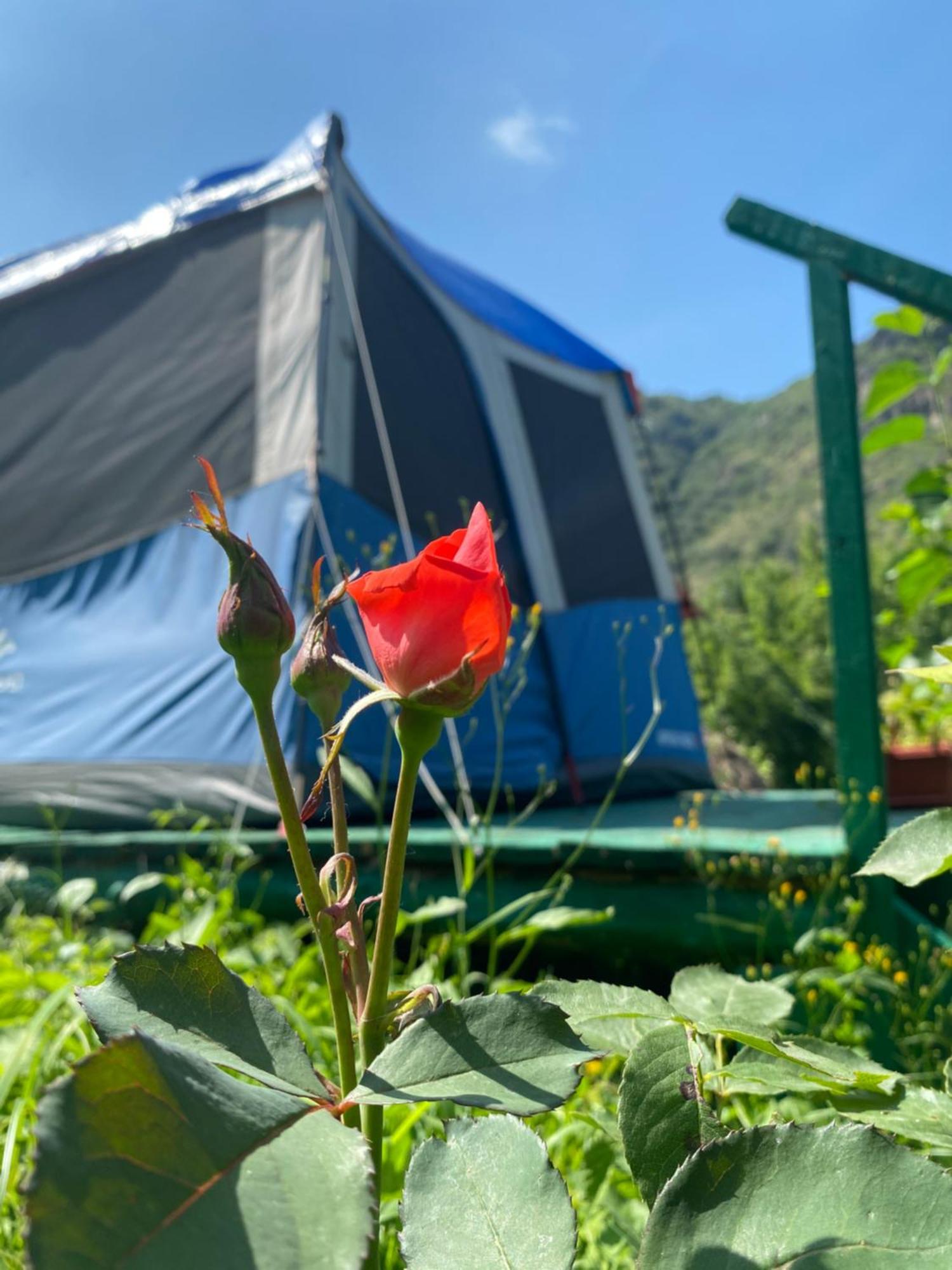 Hotel Tereza Glamping Sanain Exteriér fotografie