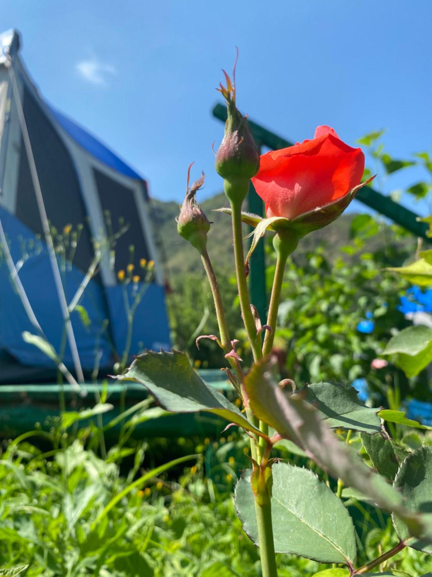 Hotel Tereza Glamping Sanain Exteriér fotografie