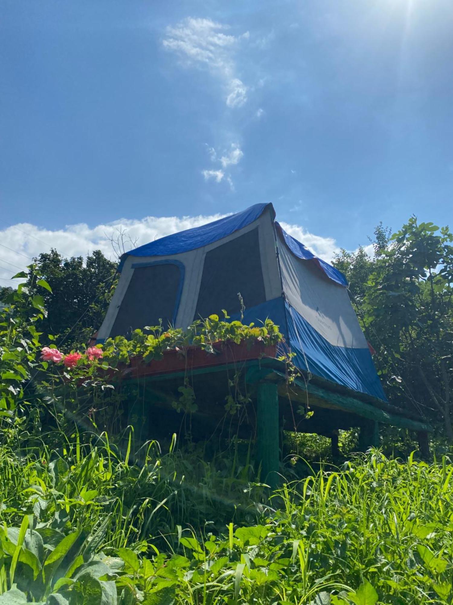 Hotel Tereza Glamping Sanain Exteriér fotografie